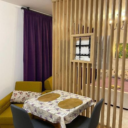 Apartament Gabriela 39 Nagybánya Kültér fotó