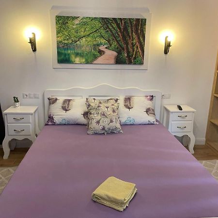 Apartament Gabriela 39 Nagybánya Kültér fotó