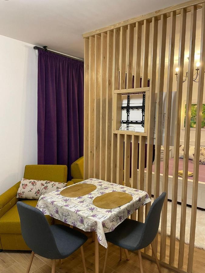 Apartament Gabriela 39 Nagybánya Kültér fotó