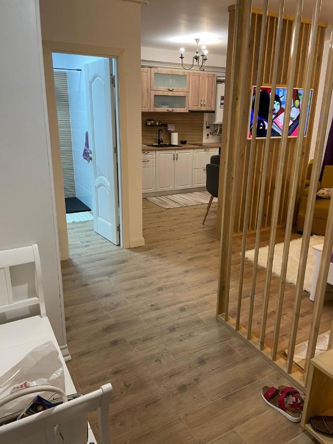 Apartament Gabriela 39 Nagybánya Kültér fotó