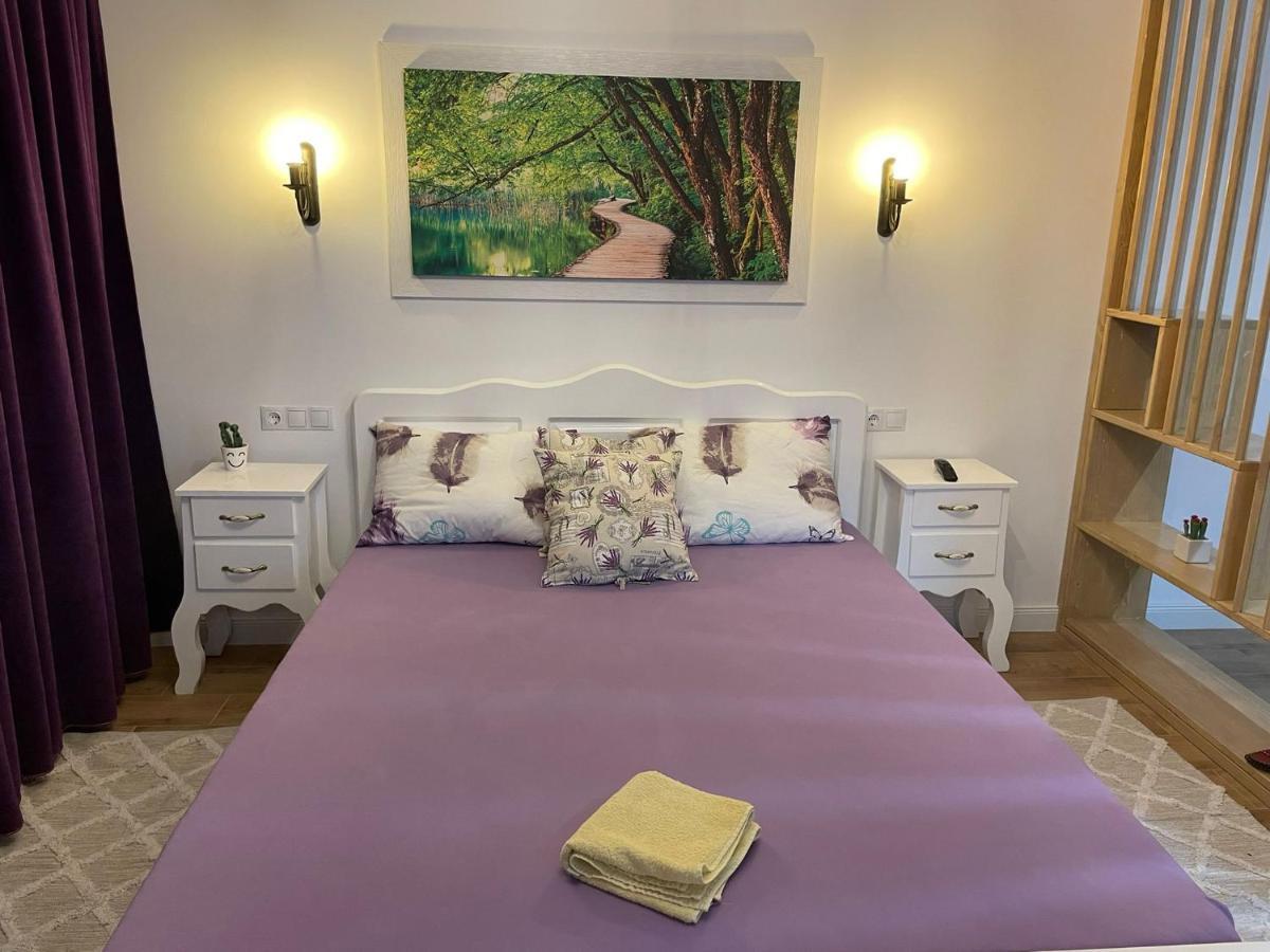 Apartament Gabriela 39 Nagybánya Kültér fotó
