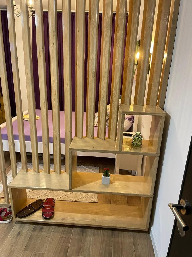 Apartament Gabriela 39 Nagybánya Kültér fotó
