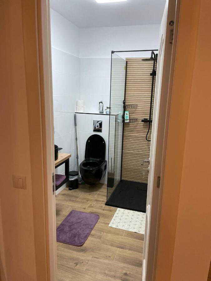 Apartament Gabriela 39 Nagybánya Kültér fotó