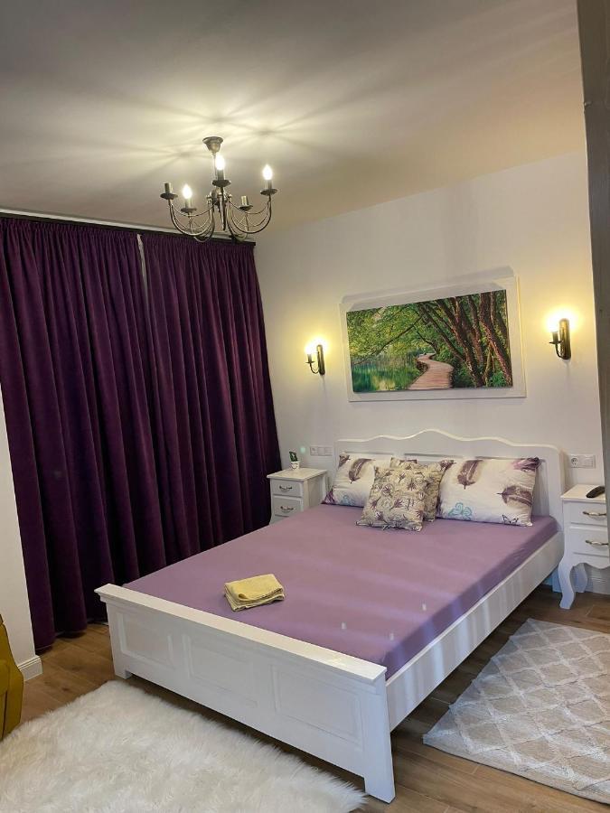 Apartament Gabriela 39 Nagybánya Kültér fotó