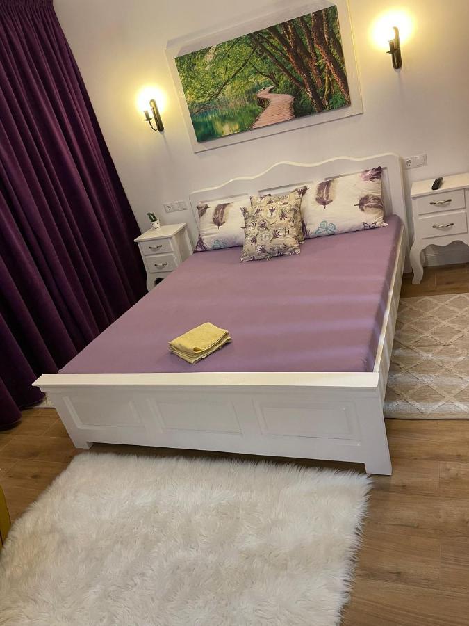 Apartament Gabriela 39 Nagybánya Kültér fotó