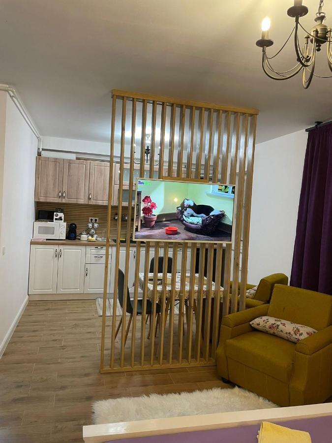 Apartament Gabriela 39 Nagybánya Kültér fotó