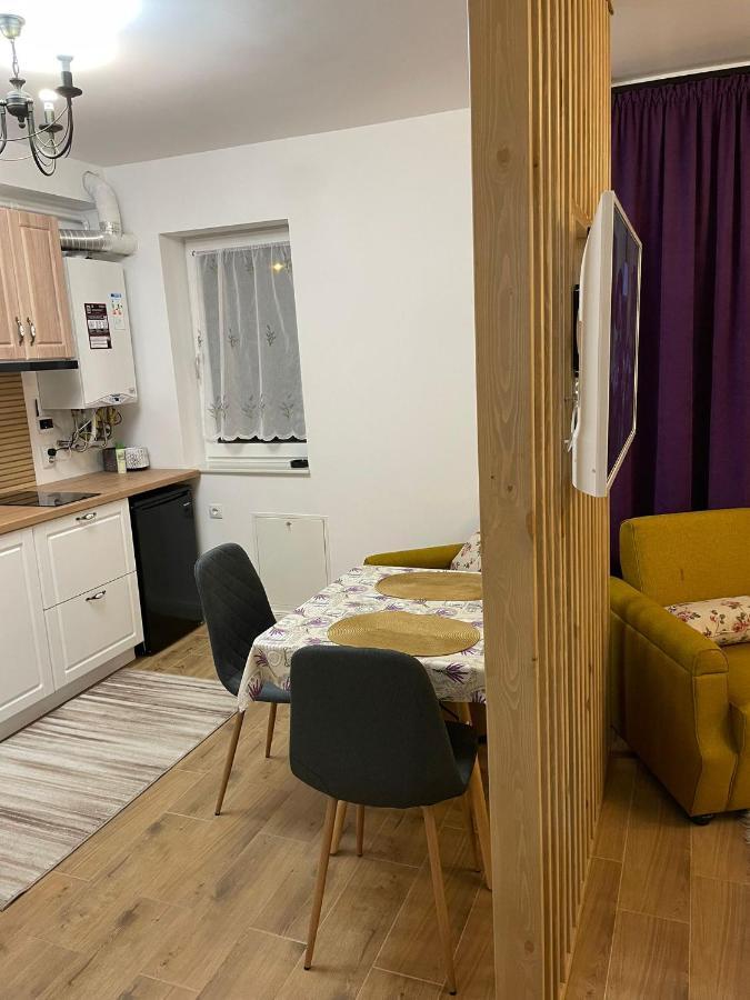 Apartament Gabriela 39 Nagybánya Kültér fotó