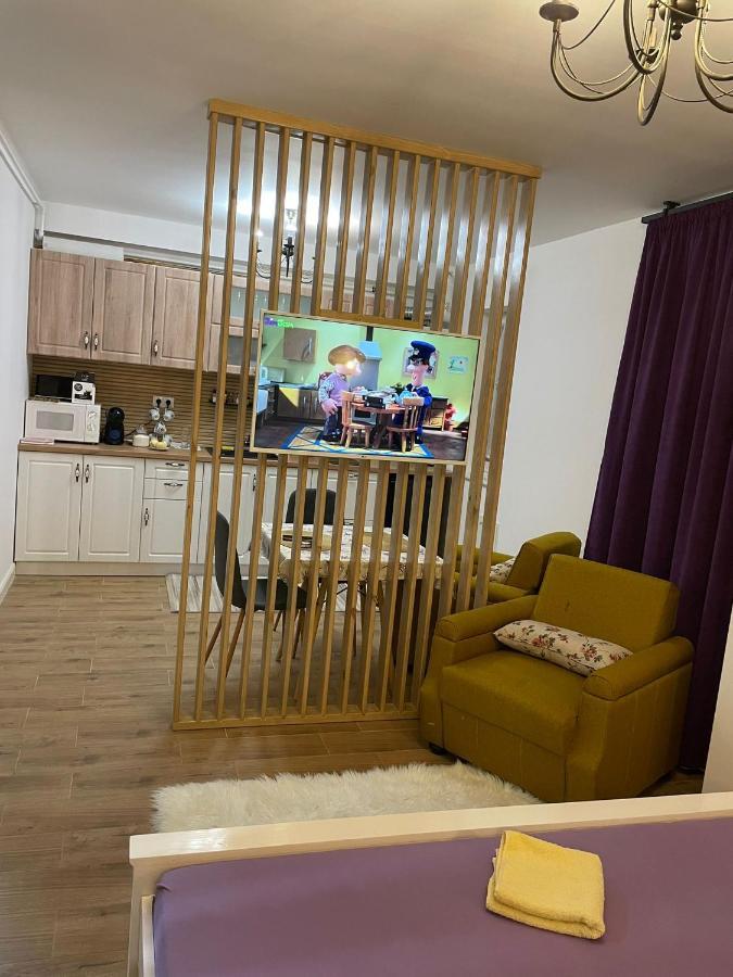 Apartament Gabriela 39 Nagybánya Kültér fotó