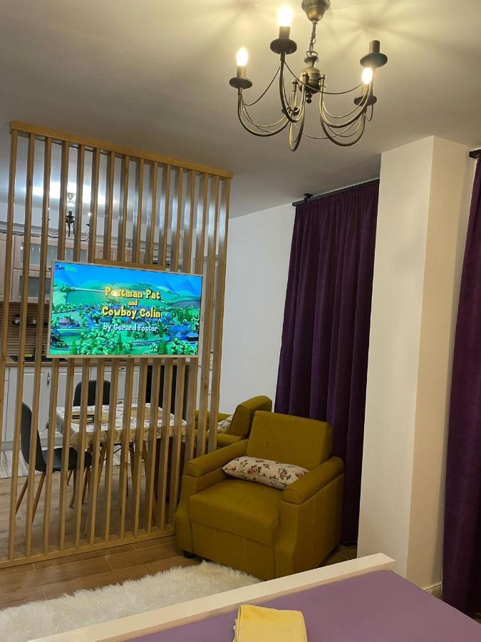 Apartament Gabriela 39 Nagybánya Kültér fotó