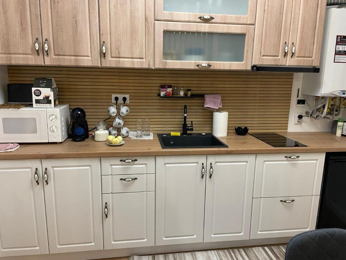 Apartament Gabriela 39 Nagybánya Kültér fotó