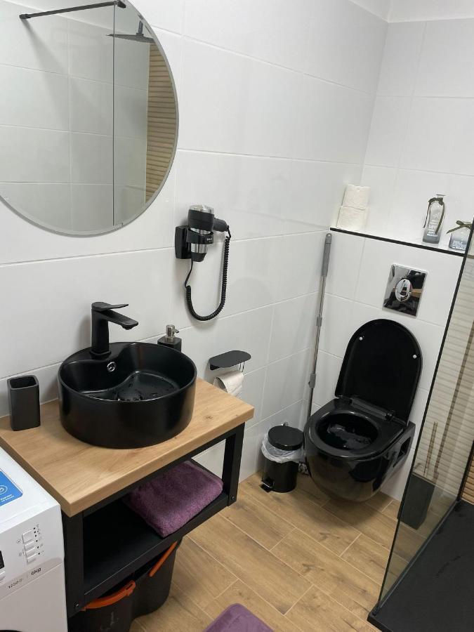 Apartament Gabriela 39 Nagybánya Kültér fotó