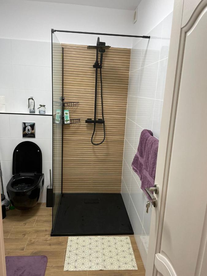 Apartament Gabriela 39 Nagybánya Kültér fotó