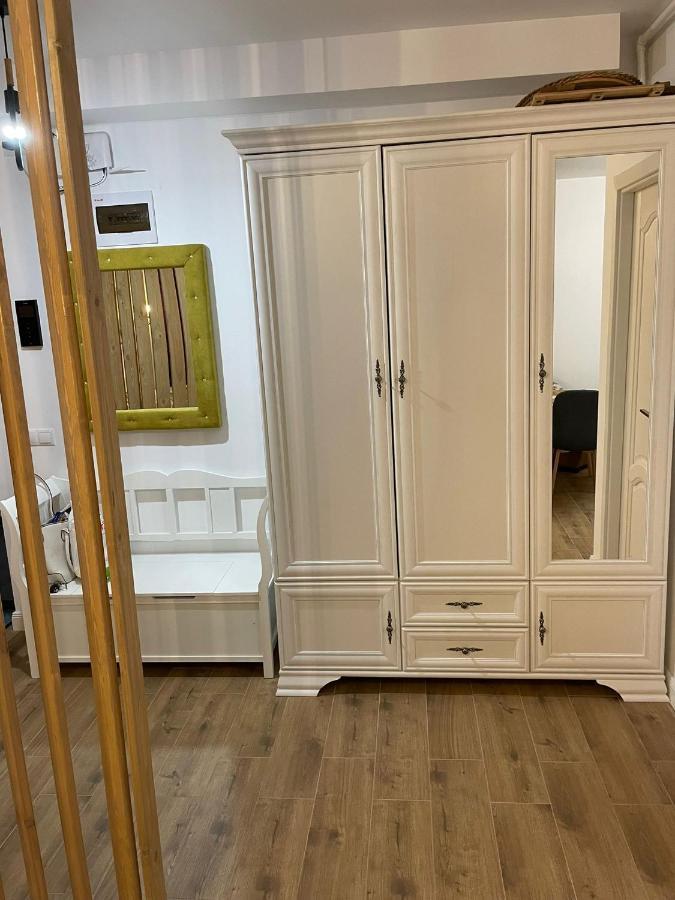 Apartament Gabriela 39 Nagybánya Kültér fotó